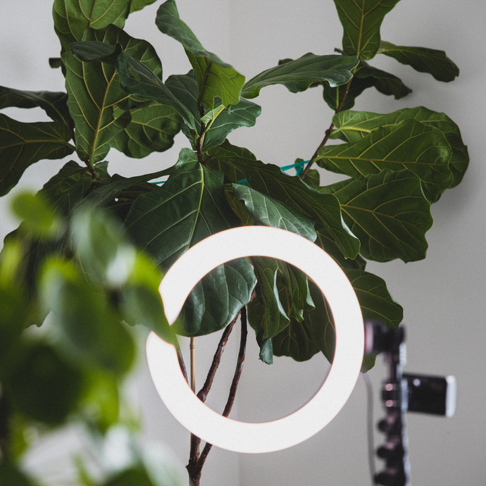 The Pros & Cons of Being an Influencer